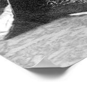 Geisha Girls, Anfang der 1900er Poster (Ecke)