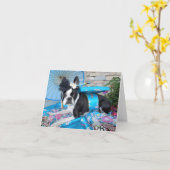 Geisha Lola B. Boston - LEERE KARTE (Gelbe Blume)