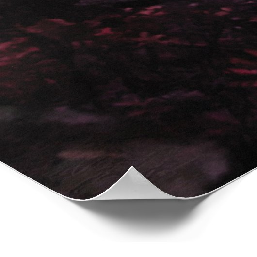 Geisha Poster (Ecke)