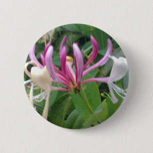 Geißblatt-Blumen-Knopf Button