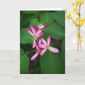 Geißblatt-Blüte Karte (Gelbe Blume)