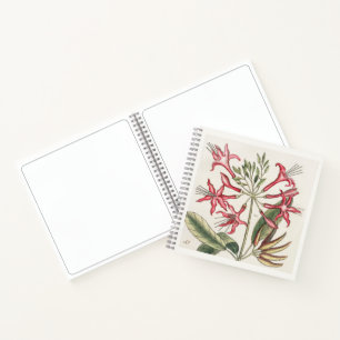 Geißblatt Botanisches Skizzenbuch Kunst 18. Jahrhu Notizblock