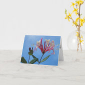 Geißblatt-leere Anmerkungs-Karte Karte (Gelbe Blume)