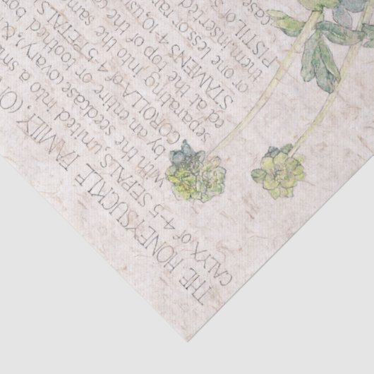 Geißblatt-Wildblume-Blumen-Seidenpapier Seidenpapier (Detail)