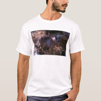 Geißbock Joel T-Shirt