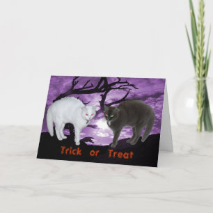 Geist als schwarz-weiße Katzen-Karte Karte