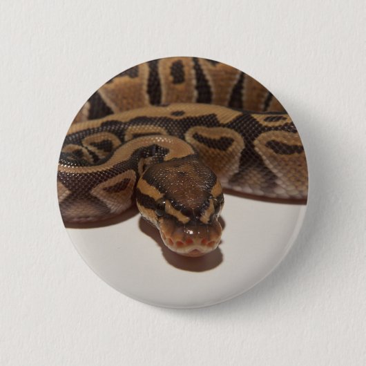 Geist-Ball-Pythonschlange-Knopf Button (Vorderseite)