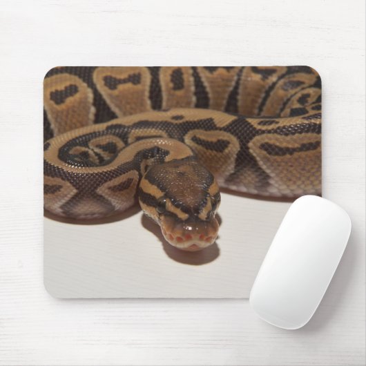 Geist-Ball-Pythonschlange Mousepad (Mit Mouse)