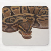 Geist-Ball-Pythonschlange Mousepad (Vorne)