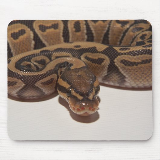 Geist-Ball-Pythonschlange Mousepad (Vorne)