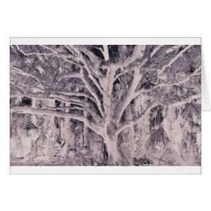 Geist-Baum