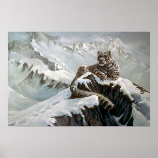 Geist der Berge, Schneeleopard Poster (Vorne)