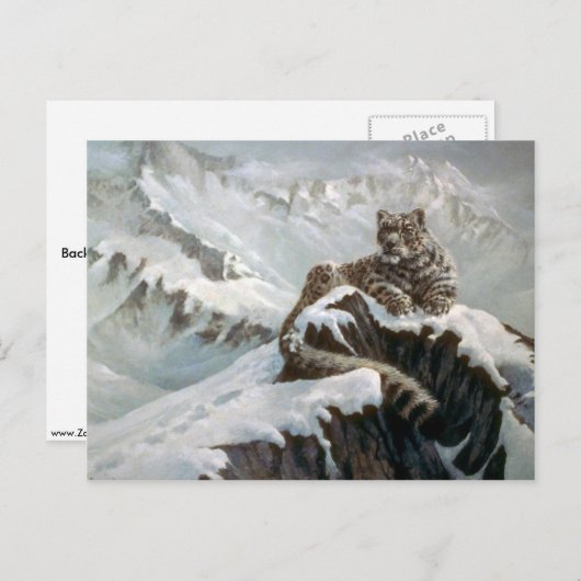 Geist der Berge, Schneeleopard Postkarte (Vorne/Hinten)