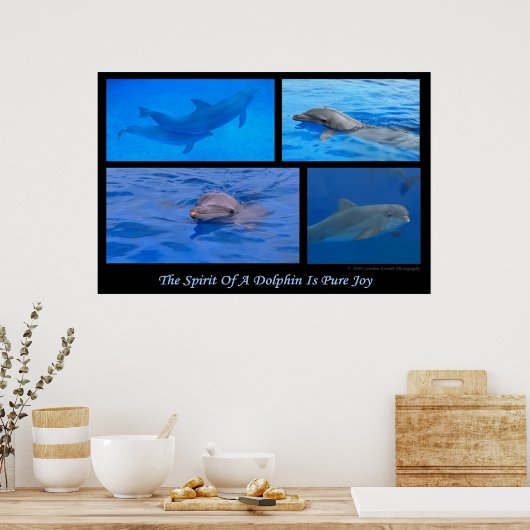 Geist der Dolphin Poster (Küche)