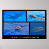 Geist der Dolphin Poster (Vorne)
