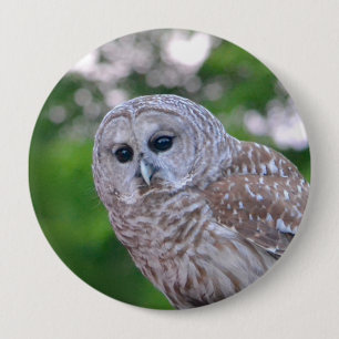 Geist der Eule Button