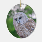 Geist der Eule Keramikornament (Links)