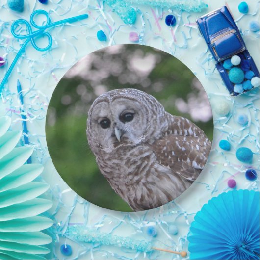 Geist der Eule Pappteller (Party)