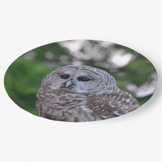 Geist der Eule Pappteller (Schrägansicht)