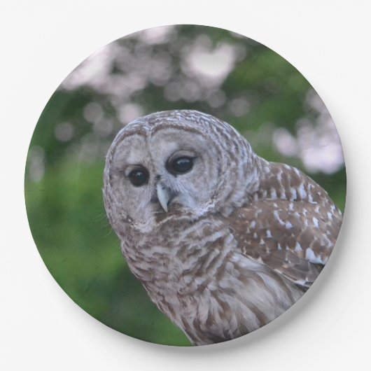 Geist der Eule Pappteller (Vorderseite)