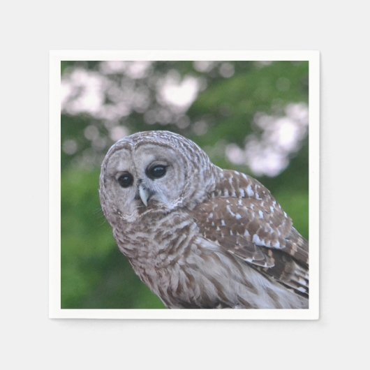 Geist der Eule Serviette (Vorderseite)