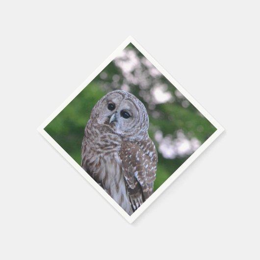 Geist der Eule Serviette (Ecke)