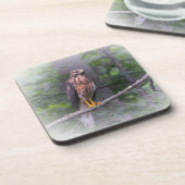 Geist der Falken Getränkeuntersetzer (Linke Seite)