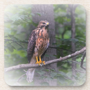 Geist der Falken Getränkeuntersetzer