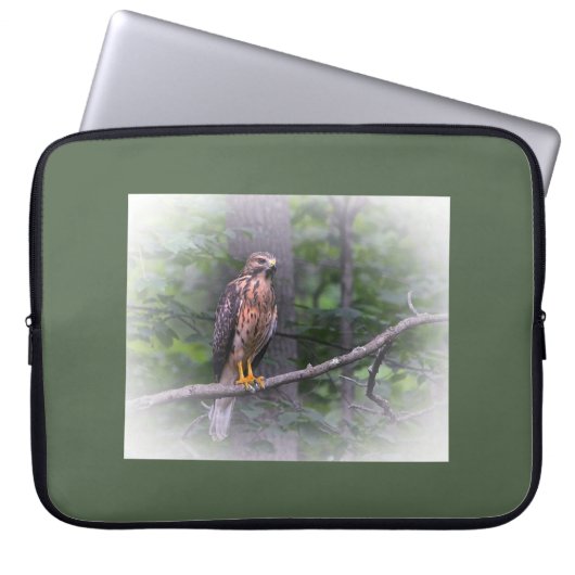 Geist der Falken Laptopschutzhülle (Vorderseite)