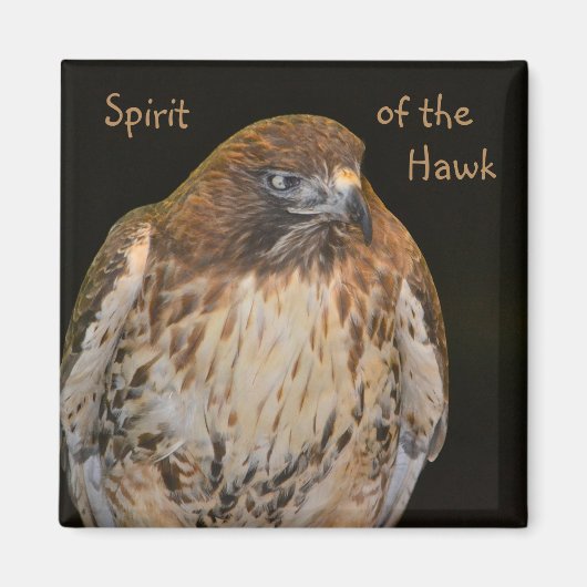 Geist der Falken Magnet (Vorne)