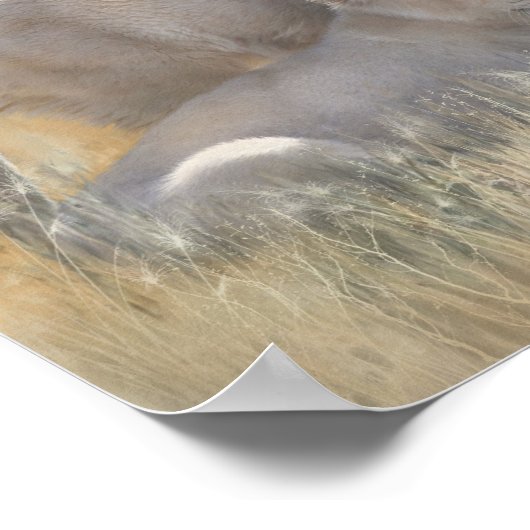 Geist der Unschuld Kunstposter Poster (Ecke)