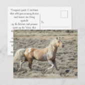 Geist des amerikanischen Westens - Postkarte (Vorne/Hinten)