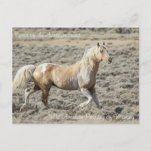 Geist des amerikanischen Westens - Postkarte (Vorderseite)