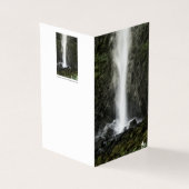 Geist des Beckens (Vorderseite)