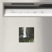 Geist des Beckens Magnet (In Situ (Geschirrspüler))