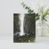 Geist des Beckens Postkarte (Stehend Vorderseite)