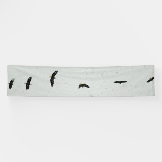 Geist des Fluges Banner (Horizontal)