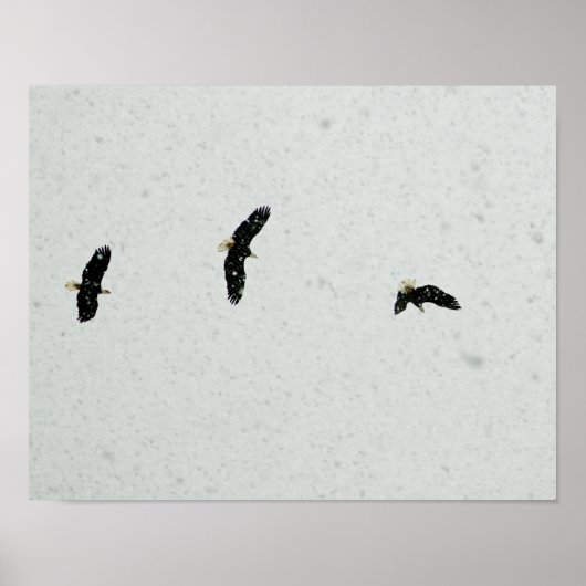 Geist des Fluges Poster (Vorne)