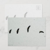 Geist des Fluges Postkarte (Vorne/Hinten)