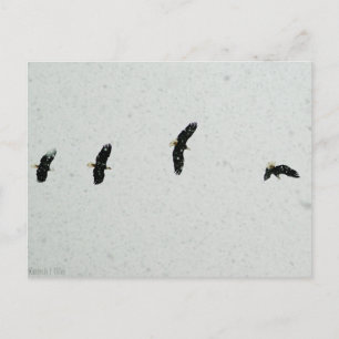 Geist des Fluges Postkarte
