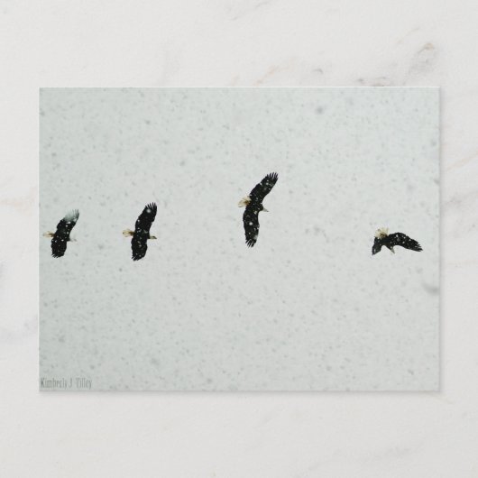Geist des Fluges Postkarte (Vorderseite)