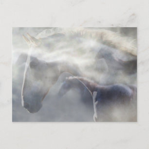 Geist des Pferdes Postkarte