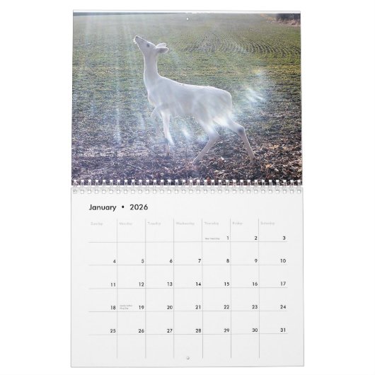 Geist des Waldes: Das Weiße Hirsch Kalender (Jan 2026)