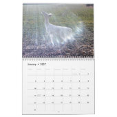 Geist des Waldes: Das Weiße Hirsch Kalender (Jan 2027)