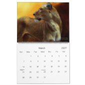 Geist des wilden Kalenders der Löwe-2011 Kalender (Mär 2027)