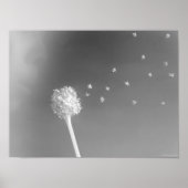 Geist des Windes Poster (Vorne)