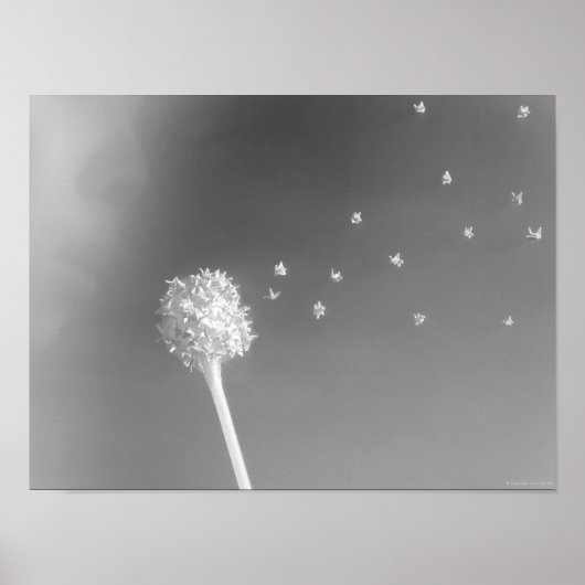 Geist des Windes Poster (Vorne)