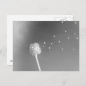 Geist des Windes Postkarte (Vorne/Hinten)