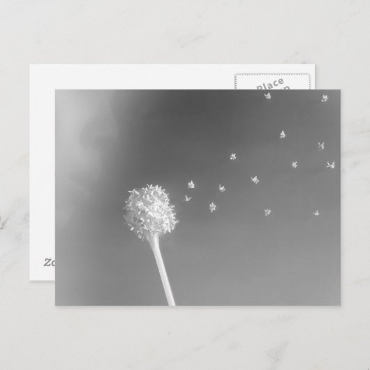 Geist des Windes Postkarte (Vorne/Hinten)