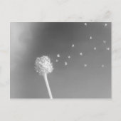 Geist des Windes Postkarte (Vorderseite)